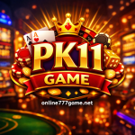 pk11 game